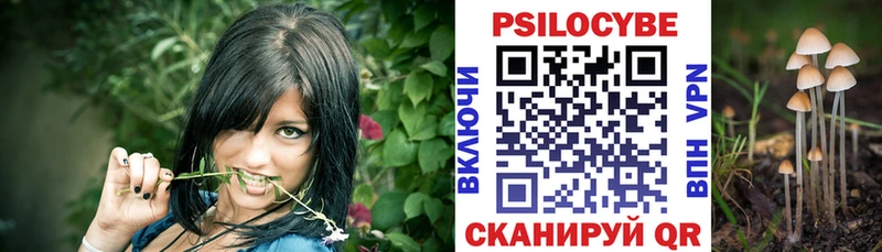 Купить  Цимлянск  Галлюциногенные грибы Psilocybine cubensis 